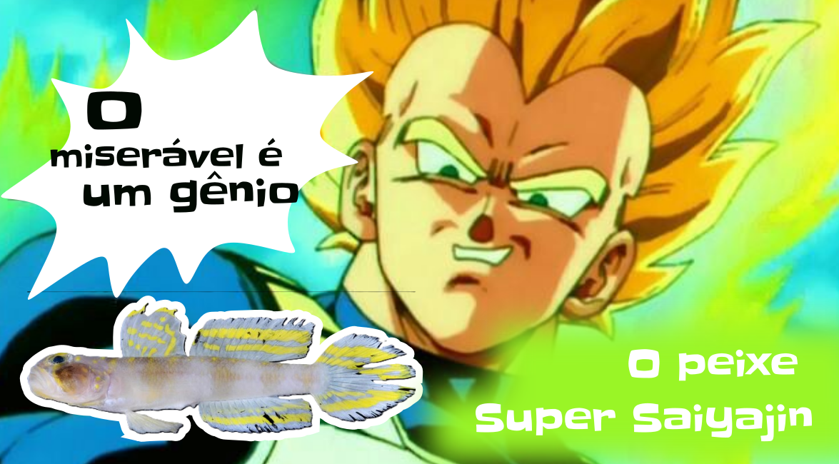 Um novo Super Saiyajin surgiu — e veio do fundo do mar!